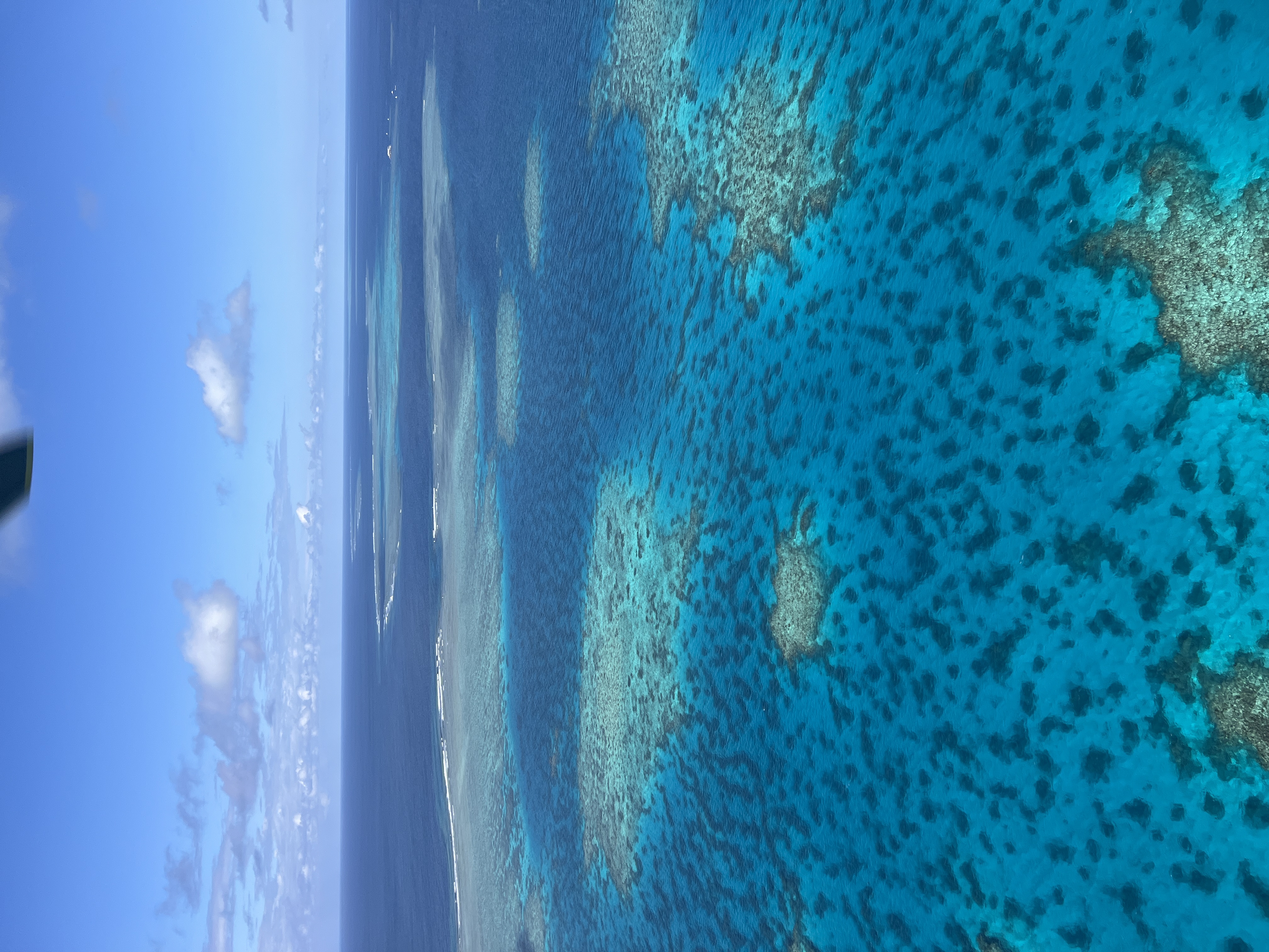Aerial view of coral reef and turquoise sea near Cairns, Australia