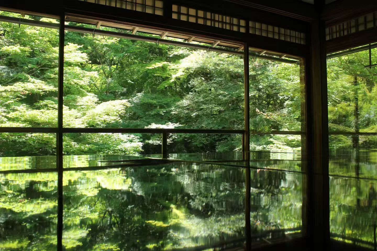 Green garden reflected in a glass wall