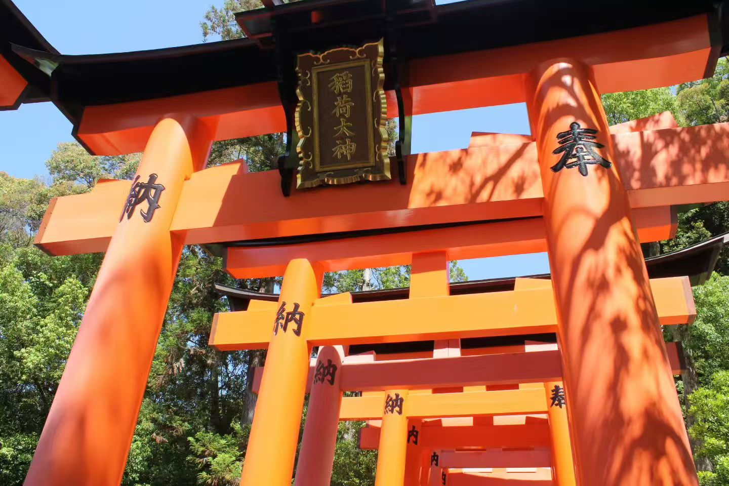 Vermilion torii gates at a Japanese shrine